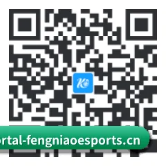 APP 安卓 二维码